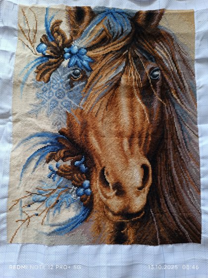 Работа «красавица лошадка»