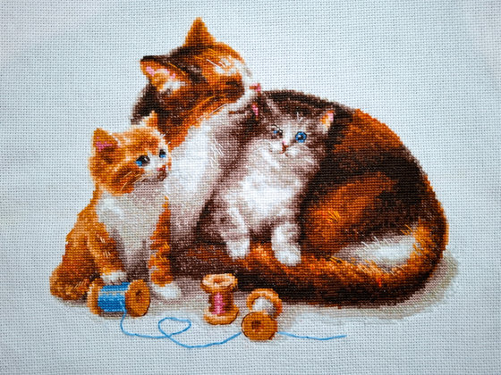 Работа «Кошка с котятами. Риолис. Шерсть»