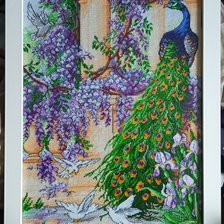 Работа «Павлин»