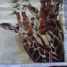Работа «Жирафы 🦒»