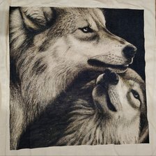 Работа «Волки»