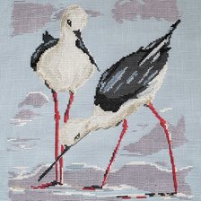 Работа «Изабель Вотье. Парочка белых ходульников»