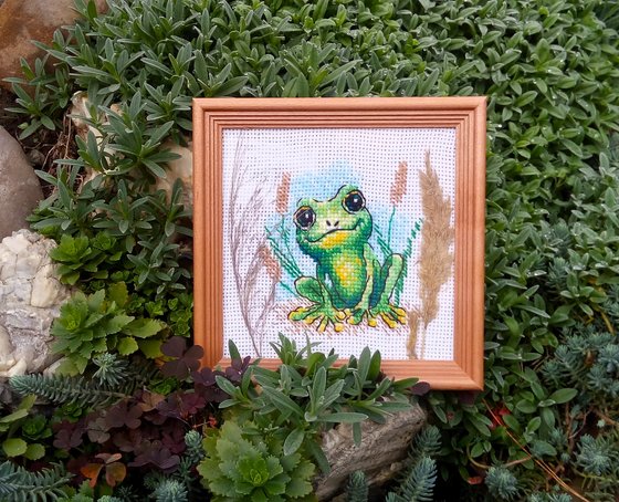 Работа «Ну, ква-ак я вам?»