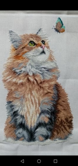 Работа «№101707»