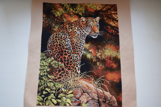 Работа «Leopard`s Gaze»