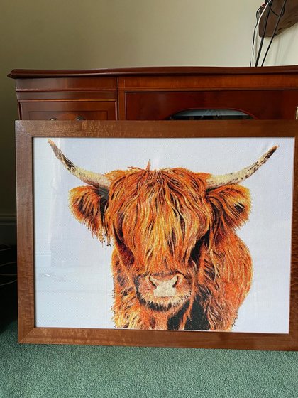 Работа «Шотландская корова»
