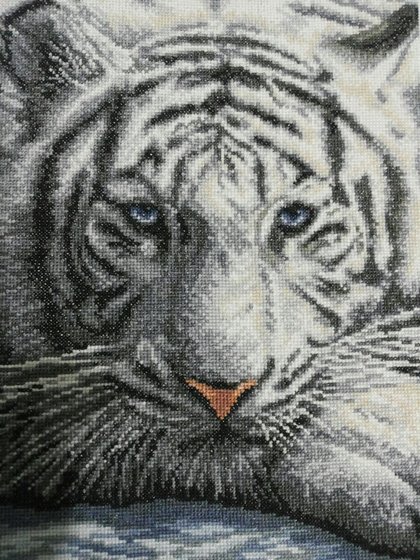 Работа «№101767»