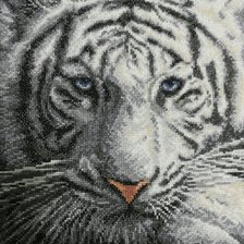 Работа «№101767»