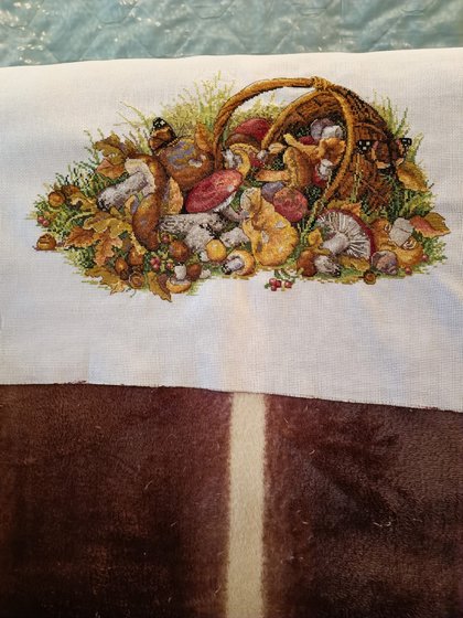 Работа «Грибы, Мережка»