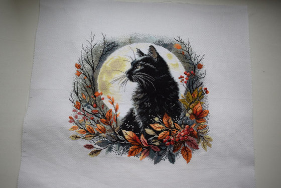 Работа «Лунный кот»