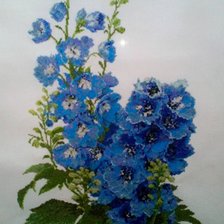 Работа «Дельфиниум.»