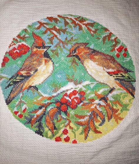 Работа «Свиристели. Мир Вышивки»