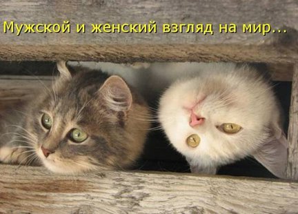 Весёлые картинки №1056