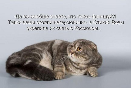 Весёлые картинки №2477