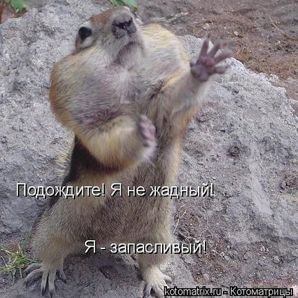 Весёлые картинки №2697