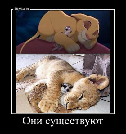 Весёлые картинки №2732