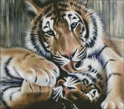 Львы, тигры, леопарды (собираем картинки) №3210