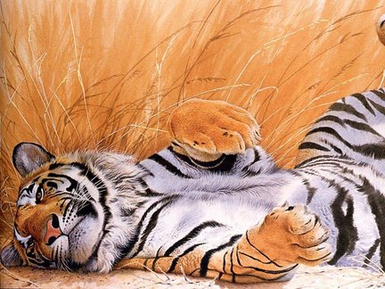 Львы, тигры, леопарды (собираем картинки) №3230
