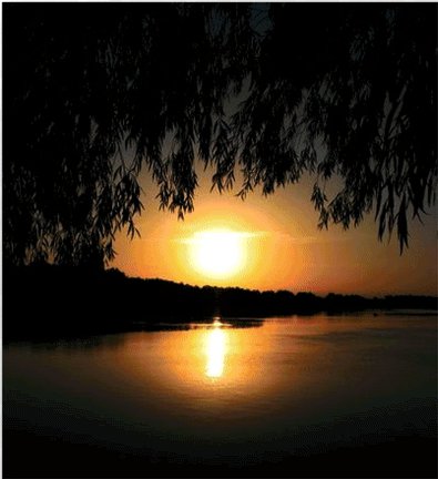 Мои рисунки и схемки по ним. Удачно ли? №4598