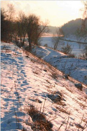 Мои рисунки и схемки по ним. Удачно ли? №4601