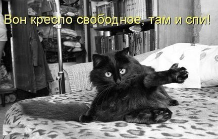 Весёлые картинки №4767