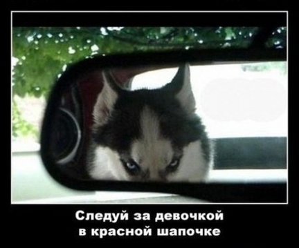 Весёлые картинки №4787