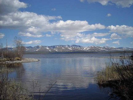 Девчат, а простую болталку? Обсудить кто и где что сказал? №7172