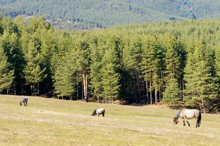 How I spend my summer holidays 2013 №7267