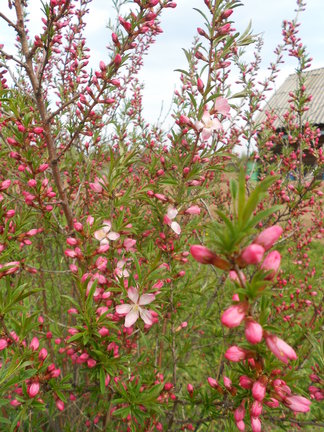 How I spend my summer holidays 2013 №7281