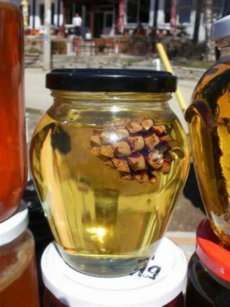 How I spend my summer holidays 2013 №7308