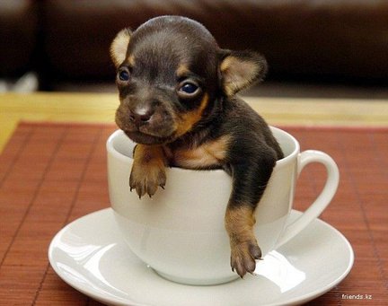 Какой смысл делать схему по уже готовым наборам? №7496