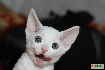 Какой смысл делать схему по уже готовым наборам? №7508