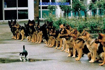 Какой смысл делать схему по уже готовым наборам? №7521