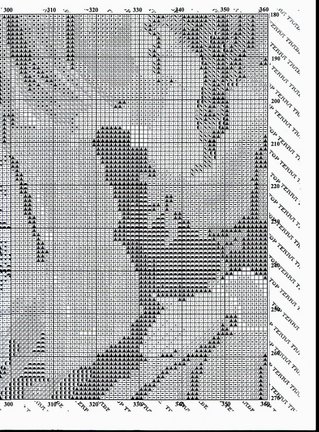 Старинная вышивка №9921