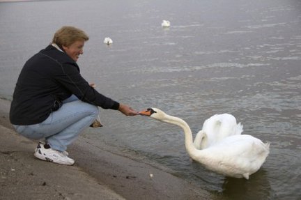 How I spend my summer holidays 2013 №16728