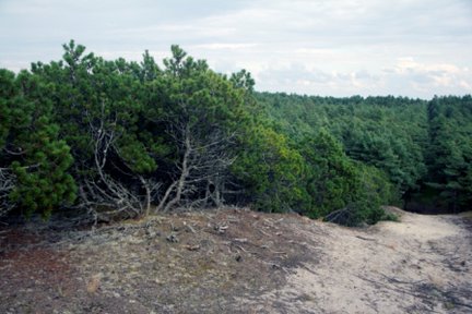 How I spend my summer holidays 2013 №16729