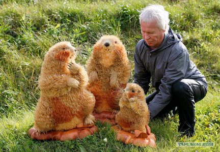 Литьё из бумаги Аллена и Петти Экман №18189