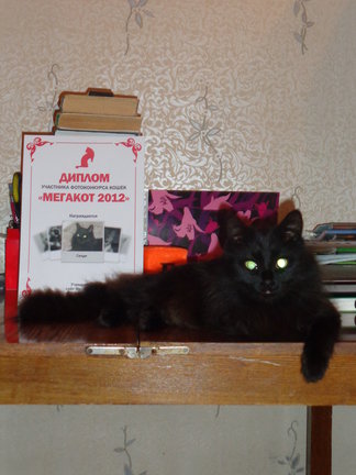 Наши домашние любимчики №18342