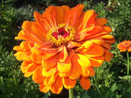 Кто каким рукоделием увлекается кроме вышивки? №19130