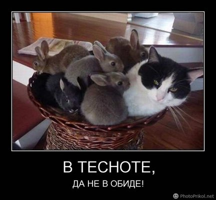 Весёлые картинки №21098