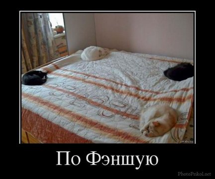 Весёлые картинки №21101