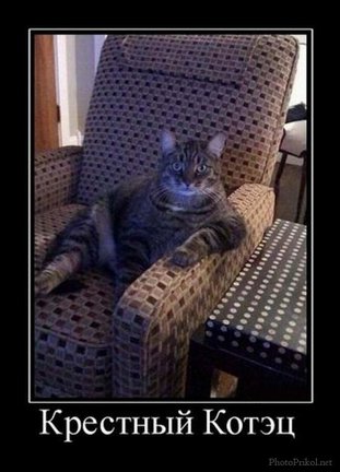 Весёлые картинки №21102