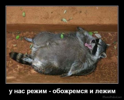 Весёлые картинки №21103