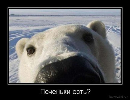 Весёлые картинки №21104