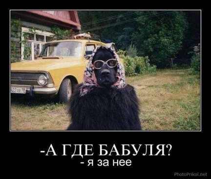 Весёлые картинки №21107