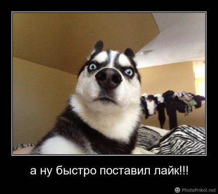 Весёлые картинки №21110