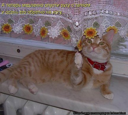 Весёлые картинки №22083