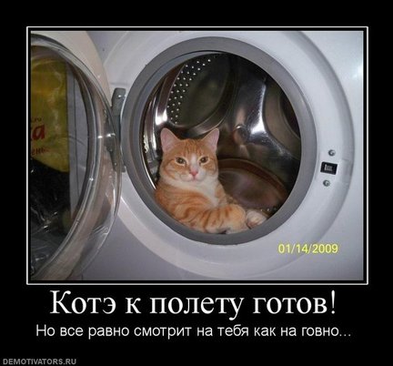 Весёлые картинки №22095