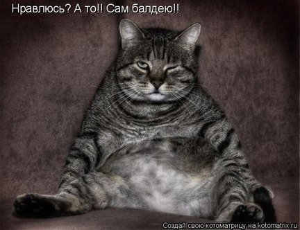 Весёлые картинки №22216