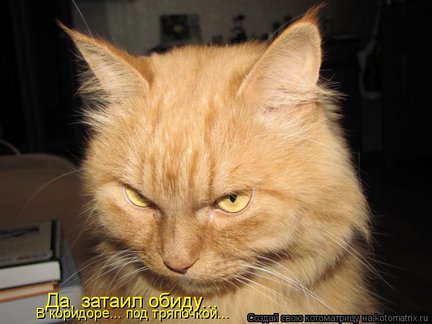 Весёлые картинки №22218